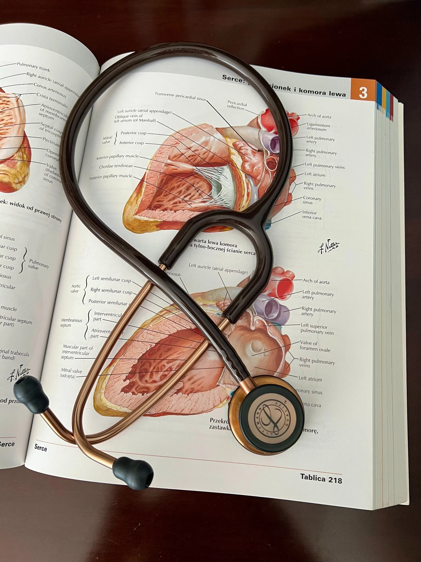 Stetoskop na otwartym atlasie anatomii serca